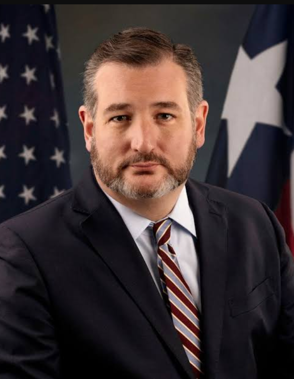 Ted Cruz Experienced Body Shaming On The Internet