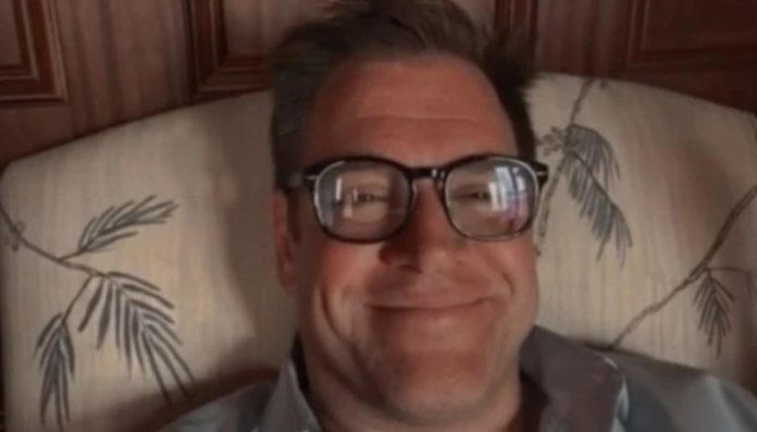 Michael Weatherly Has Been Part Of NCIS From 2003 To 2024